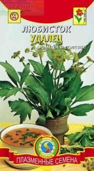Купить оптом в Ботанике семена Любисток Удалец Плз бренд Плазмас