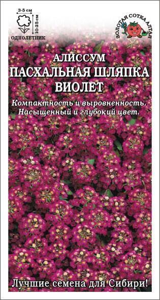 Купить оптом в Ботанике семена Алиссум Пасхальная шляпка Виолет ЗС бренд Золотая сотка