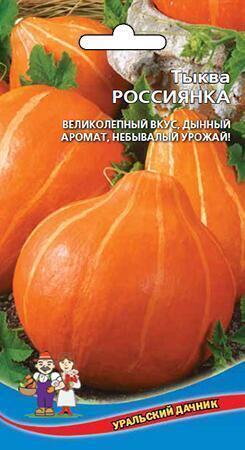 Купить оптом в Ботанике семена Тыква Россиянка УД бренд Уральский дачник