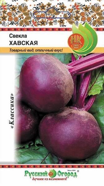 Купить оптом в Ботанике семена Свекла Хавская НК бренд НК