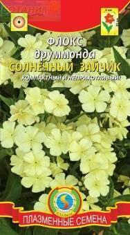 Купить оптом в Ботанике семена Флокс Солнечный зайчик друммонда Плз бренд Плазмас