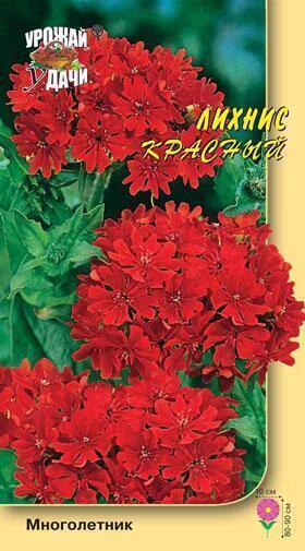 Купить оптом в Ботанике семена Лихнис Красный УУ бренд Урожай Удачи