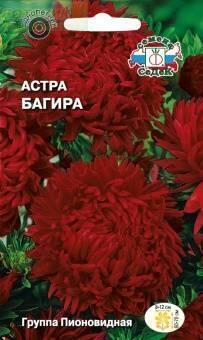 Купить оптом в Ботанике семена Астра Багира Сед бренд СеДеК