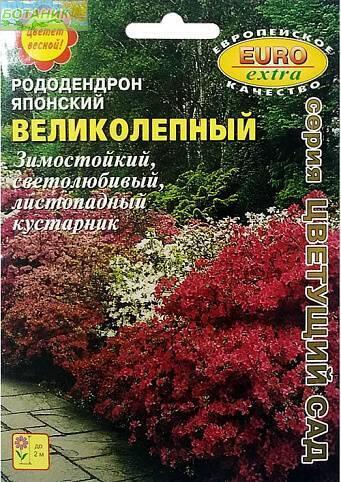 Купить оптом в Ботанике семена Рододендрон Великолепный японский Аэл бренд Аэлита