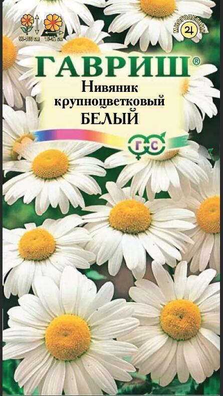 Купить оптом в Ботанике семена Нивяник Крупноцветковый белый Гав бренд Гавриш