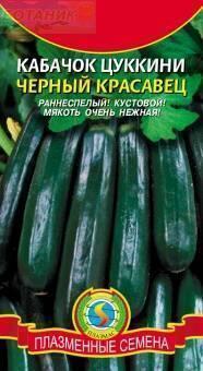 Купить оптом в Ботанике семена Кабачок Черный красавец цуккини Плз бренд Плазмас