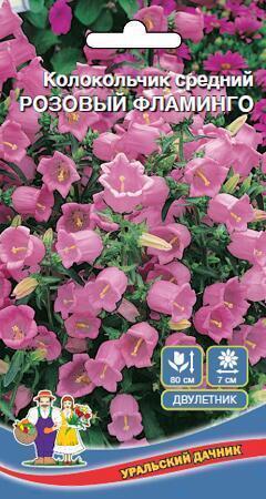 Купить оптом в Ботанике семена Колокольчик Розовый фламинго средний УД бренд Уральский дачник