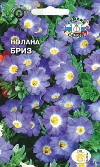 Купить оптом в Ботанике семена Нолана сомнительная Бриз голубая Сед бренд СеДеК