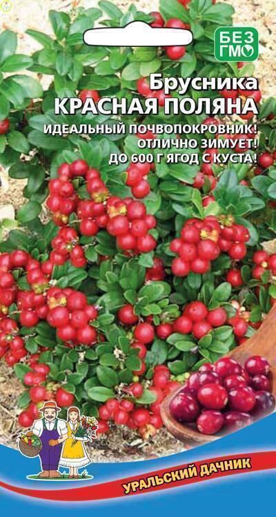 Купить оптом в Ботанике семена Брусника Красная поляна УД бренд Уральский дачник