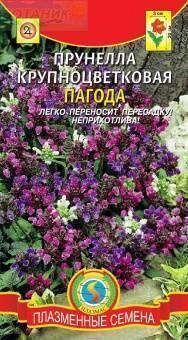 Купить оптом в Ботанике семена Прунелла Пагода крупноцветковая Плз бренд Плазмас