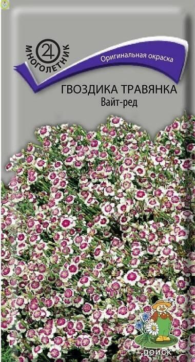 Купить оптом в Ботанике семена Гвоздика травянка Вайт Ред Поиск бренд Поиск