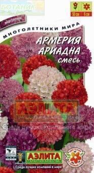 Купить оптом в Ботанике семена Армерия Ариадна смесь Аэл бренд Аэлита