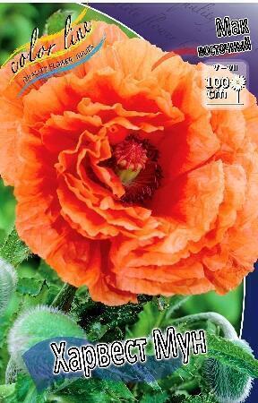 Купить оптом в Ботанике Мак Харвест Мун 2 шт