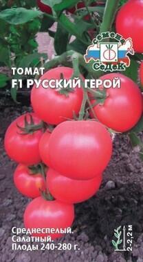 Купить оптом в Ботанике семена Томат Русский герой Сед бренд СеДеК