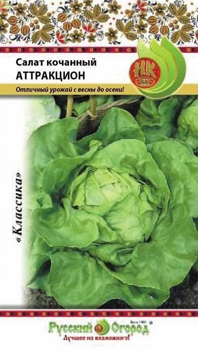 Купить оптом в Ботанике семена Салат Аттракцион кочанный НК бренд НК