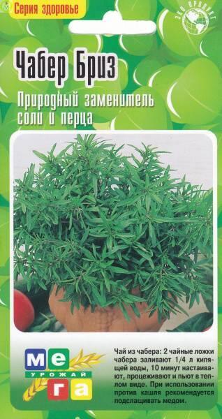 Купить оптом в Ботанике семена Чабер Бриз садовый ССО бренд Сортсемовощ