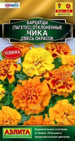 Купить оптом в Ботанике семена Бархатцы Чика отклоненные, смесь Аэл бренд Аэлита