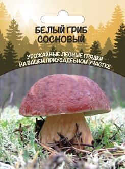 Купить оптом в Ботанике семена Грибы Белый гриб сосновый УД бренд Уральский дачник