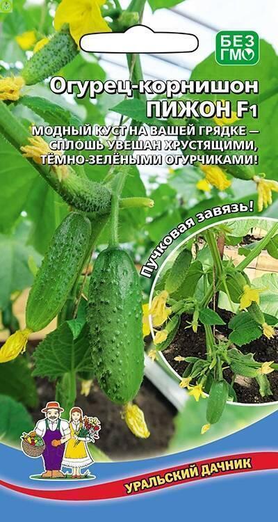 Купить оптом в Ботанике семена Огурец Пижон F1 УД бренд Уральский дачник