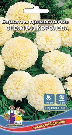 Купить оптом в Ботанике семена Бархатцы Снежная королева УД бренд Уральский дачник