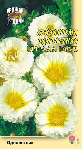 Купить оптом в Ботанике семена Хризантема Бридал Роуб УУ бренд Урожай Удачи