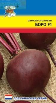 Купить оптом в Ботанике семена Свекла Боро F1 УУ бренд Урожай Удачи