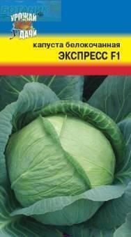 Купить оптом в Ботанике семена Капуста белокочанная Экспресс F1 УУ бренд Урожай Удачи