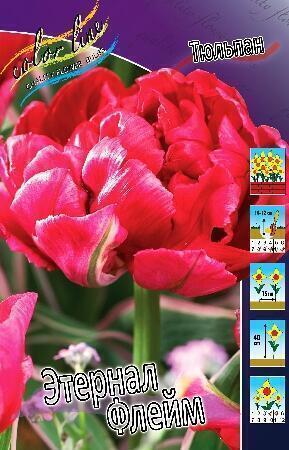 Купить оптом в Ботанике Тюльпан Этернал Флейм 10 шт