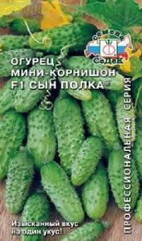 Купить оптом в Ботанике семена Огурец Сын полка F1 Сед бренд СеДеК