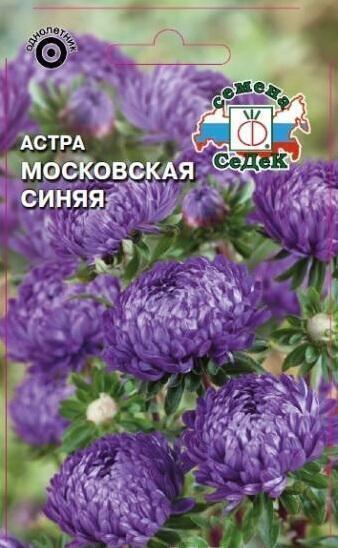 Купить оптом в Ботанике семена Астра Московская синяя Сед бренд СеДеК