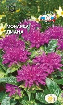Купить оптом в Ботанике семена Монарда Диана лимонная Сед бренд СеДеК