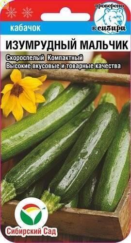 Купить оптом в Ботанике семена Кабачок Изумрудный мальчик СС бренд Сиб.сад