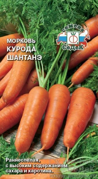 Купить оптом в Ботанике семена Морковь Курода Шантанэ Сед бренд СеДеК