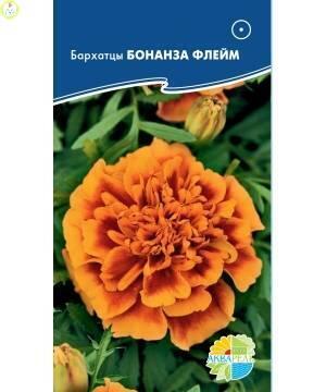 Купить оптом в Ботанике семена Бархатцы Бонанза флейм Акв бренд Акварель
