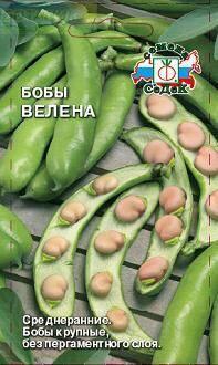 Купить оптом в Ботанике семена Бобы Велена Сед бренд СеДеК