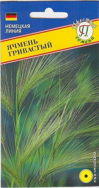 Купить оптом в Ботанике семена Ячмень Гривастый Прес бренд Престиж