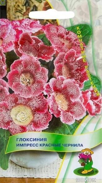 Купить оптом в Ботанике семена Глоксиния Импресс Красные чернила Поиск бренд Поиск