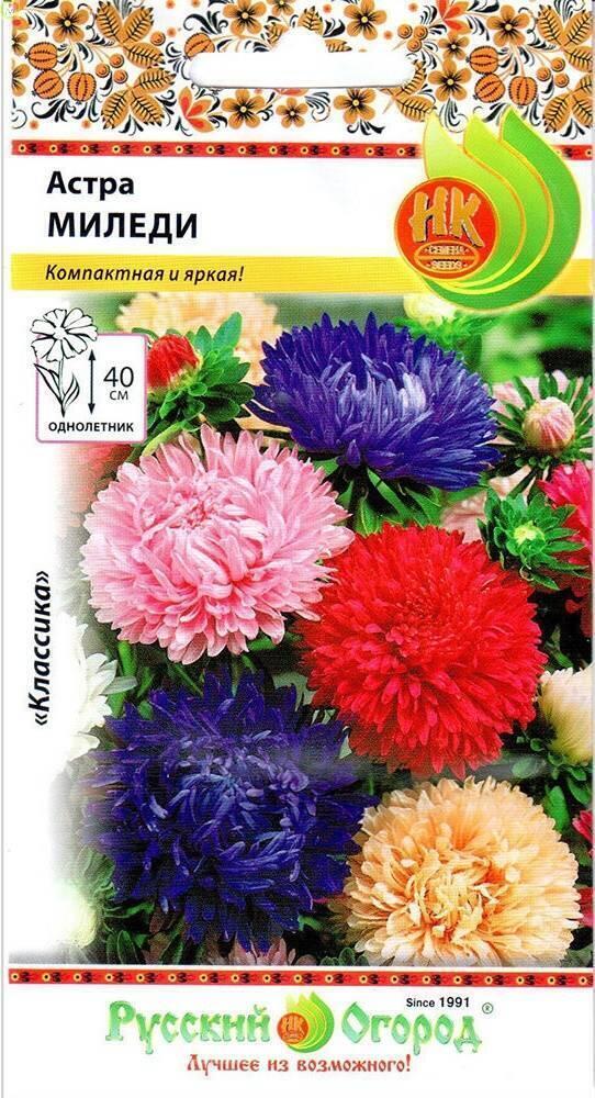 Купить оптом в Ботанике семена Астра Миледи смесь НК бренд НК