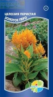 Купить оптом в Ботанике семена Целозия Золотое перо перистая Акв бренд Акварель