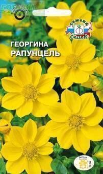 Купить оптом в Ботанике семена Георгина Рапунцель Сед бренд СеДеК