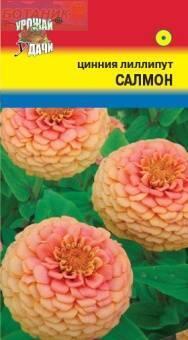 Купить оптом в Ботанике семена Цинния Лиллипут салмон УУ бренд Урожай Удачи