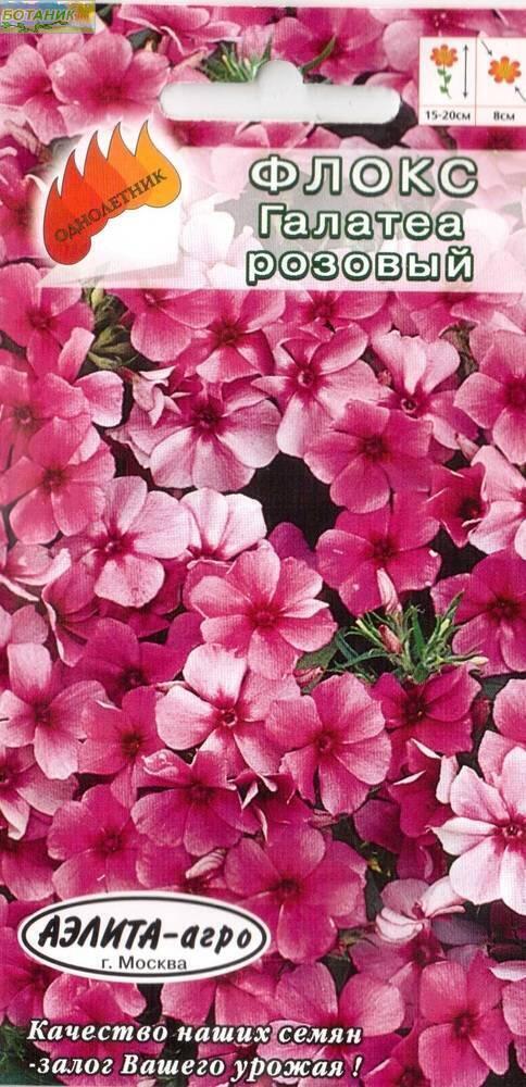 Купить оптом в Ботанике семена Флокс Галатея розовый Аэл бренд Аэлита