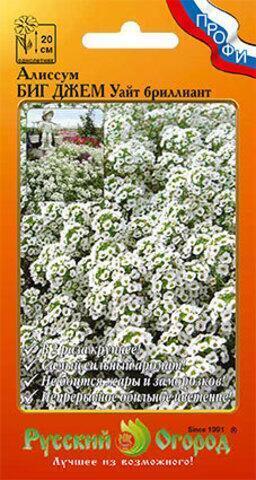 Купить оптом в Ботанике семена Алиссум Биг Джем Уайт Бриллиант НК бренд НК