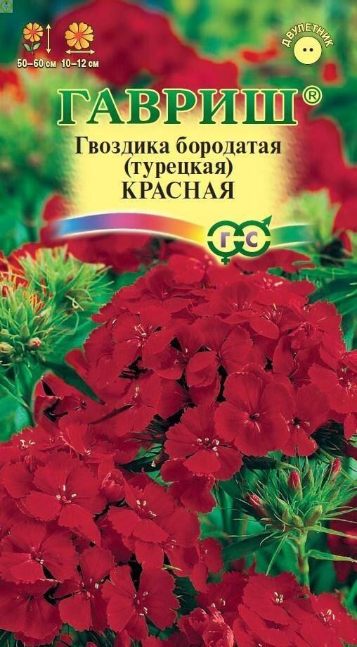 Купить оптом в Ботанике семена Гвоздика бородатая Красная Гав бренд Гавриш
