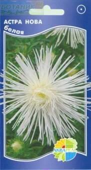 Купить оптом в Ботанике семена Астра Нова вайт Акв бренд Акварель
