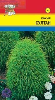 Купить оптом в Ботанике семена Кохия Султан УУ бренд Урожай Удачи