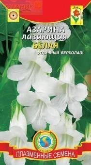 Купить оптом в Ботанике семена Азарина Лазающая белая Плз бренд Плазмас