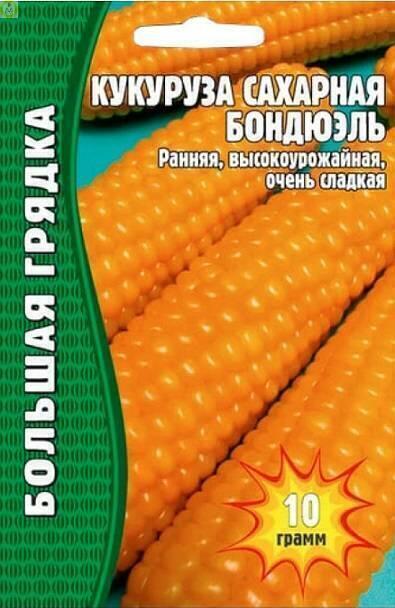 Купить оптом в Ботанике семена Кукуруза сахарная Бондюэль Реш бренд Решение, ООО