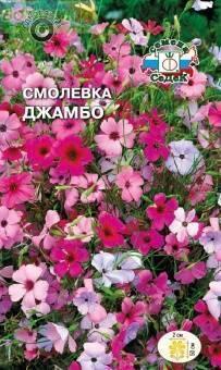 Купить оптом в Ботанике семена Смолевка Джамбо смесь Сед бренд СеДеК