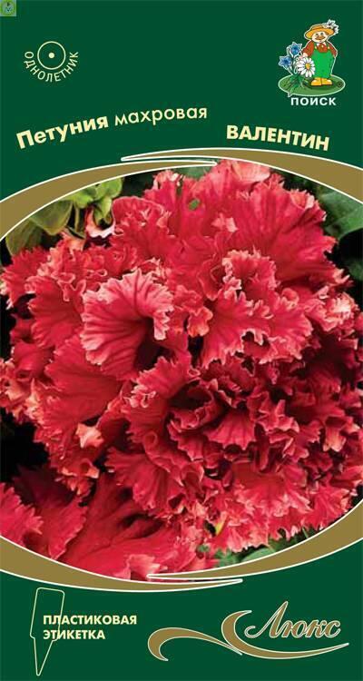 Купить оптом в Ботанике семена Петуния Валентин махровая Поиск бренд Поиск